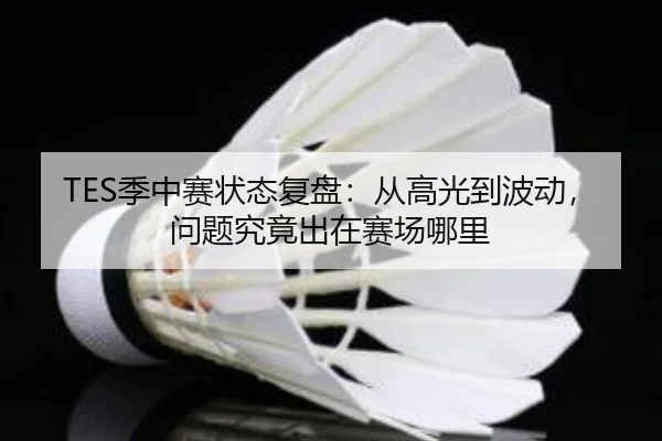 TES季中赛状态复盘：从高光到波动，问题究竟出在赛场哪里